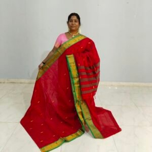 banahatti-cotton-checks-saree-1